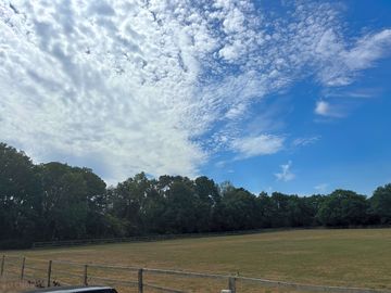 Main field