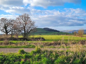Nyland hill from the camping meadow