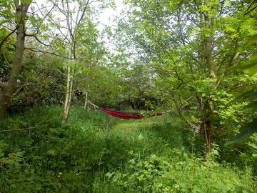 Secret hammocks for a snooze