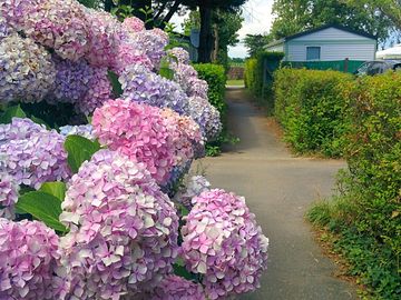 Well-kept gardens
