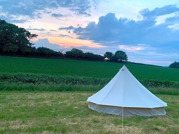 Evening on site