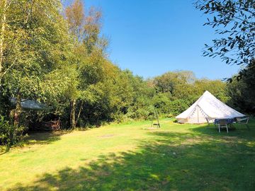 Billy blue bell tent and pitch area
