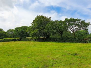 Trees alongside the pitches