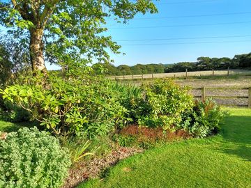 Views from the garden