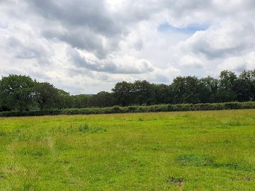 Greenery around