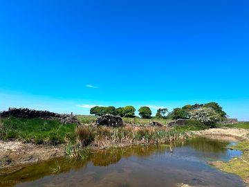 Pond