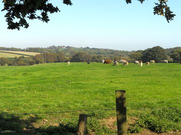 Farm view of the valley