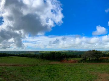 Blue skies