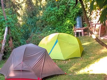 Pitch up in a shaded green space