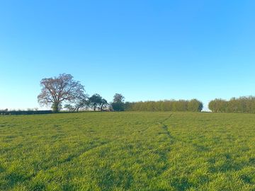 View across the field