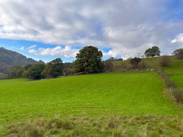 Fields