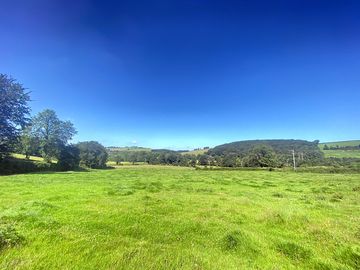 Spacious field