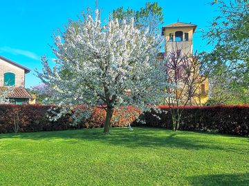 Peaceful corner of the garden