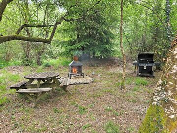 Barbecue, woodburner and picnic table at violet