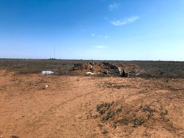 View around the site