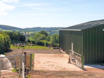Next to the barn