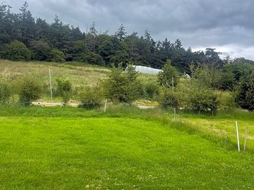 View from the motorhome pitches