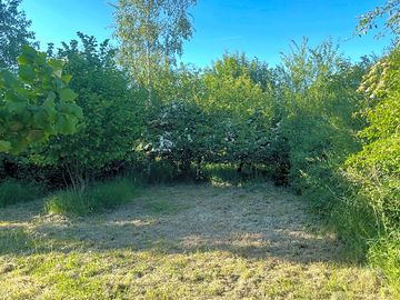 Pitch delineated by hedges