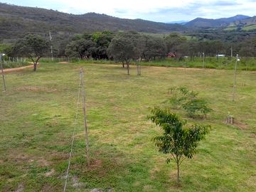 Looking across the site