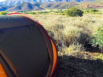 Spacious pitches in a wildlife haven