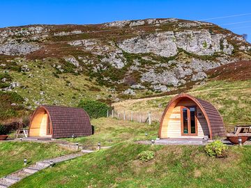Pods next to the crag