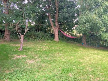 Your private camping space with hammock