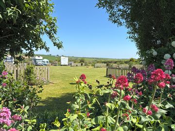 Grass pitches with floral gardens and picket fences