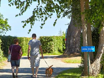 Dogs welcome