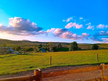 View from the site