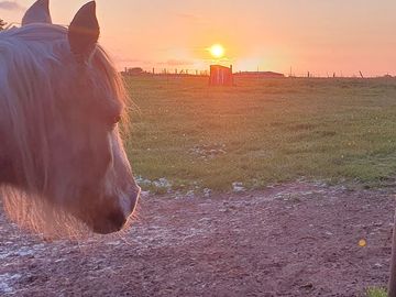 Sunrise over the site