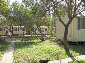 Grassy site