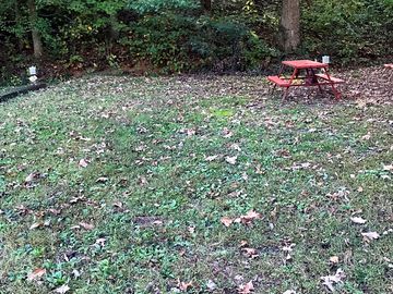 Grassy tent/pop-up/van area