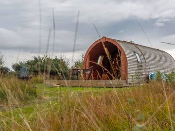 Pod