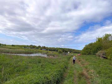 Cabin looks on to fishery