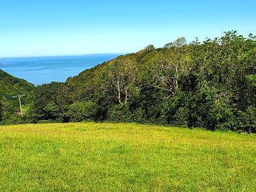 Cornish coastal view