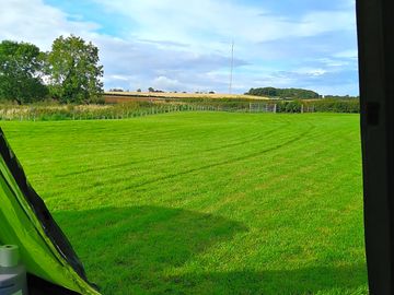 View from the tent