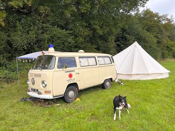 VW Bus & Dogs Welcome