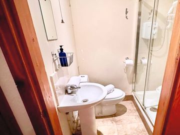 Loo and shower ensuite