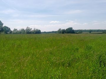 The camping meadow