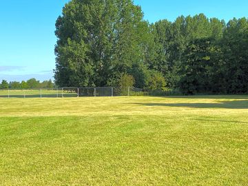 Designated dog walking area