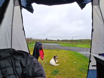 View onto the enclosed dog field