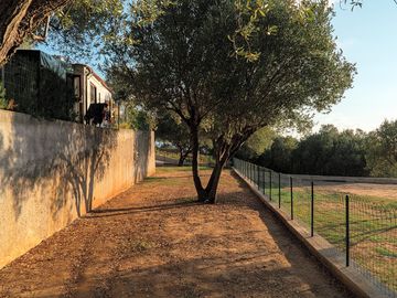 Shaded pitch