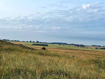 View towards the site