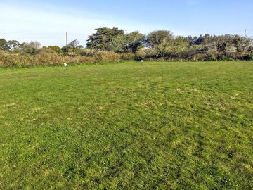 Grass pitches