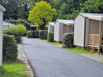 Allée du camping