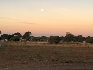 Sunsets sunrises and full moons on call