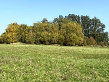 Grass pitches