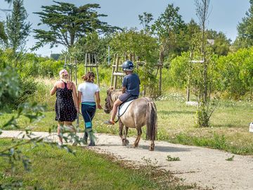Balade à poney les vendredis après-midi en été