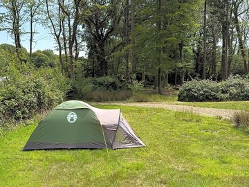 Around the site