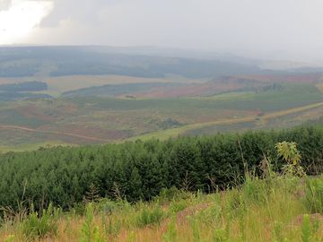Wooded hills